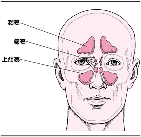 过敏性鼻炎有哪些检查项目？