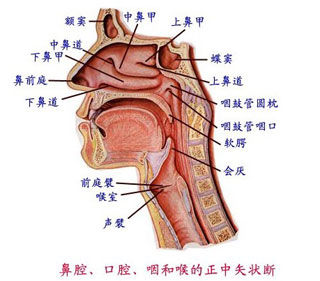 郑州治疗过敏性鼻炎不错的医院