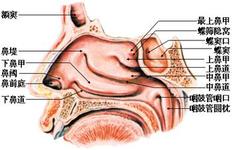 中医如何治疗鼻甲肥大，效果怎样？
