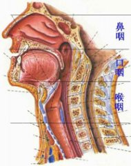 咽喉炎是怎么回事？