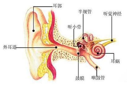 中耳炎症状及中耳炎治疗方法 