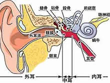 鼓膜修补术治疗鼓膜穿孔效果怎么样?