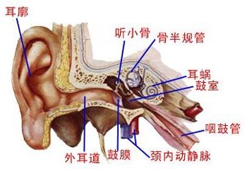 常常耳鸣是怎么回事?