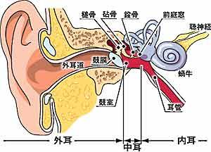 郑州哪个医院治疗外耳道炎比较放心？