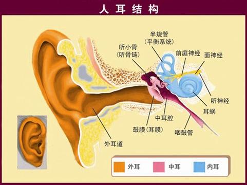 治疗外耳道炎有哪些步骤?