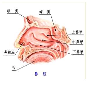 郑州治疗鼻炎哪家医院比较好？