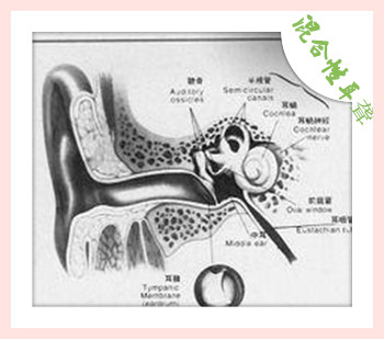 什么是混合性耳聋，如何治？